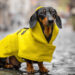 ? Depositphotos