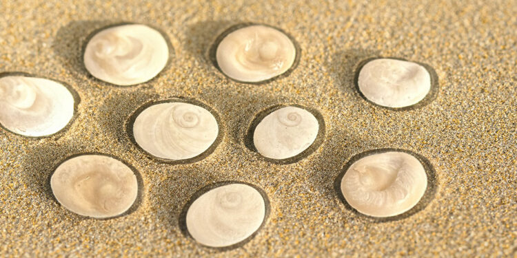 Occhi di Santa Lucia. ? Marco Cau