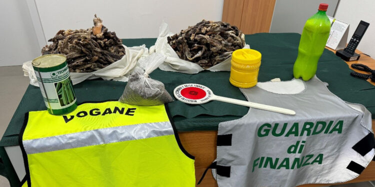 Alghero sequestro alimenti privi di certificazione sanitaria