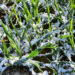 ? Depositphotos