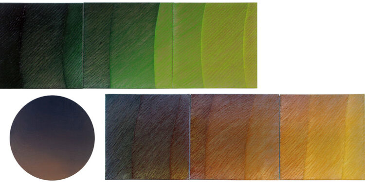 Le opere di Rosanna Rossi