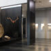Museo Archeologico ed Etnografico “Giovanni Antonio Sanna” di Sassari, sala centrale Padiglione Castoldi: tronco di palma fossile e sullo sfondo resti di cervo “Praemegaceros cazioti”