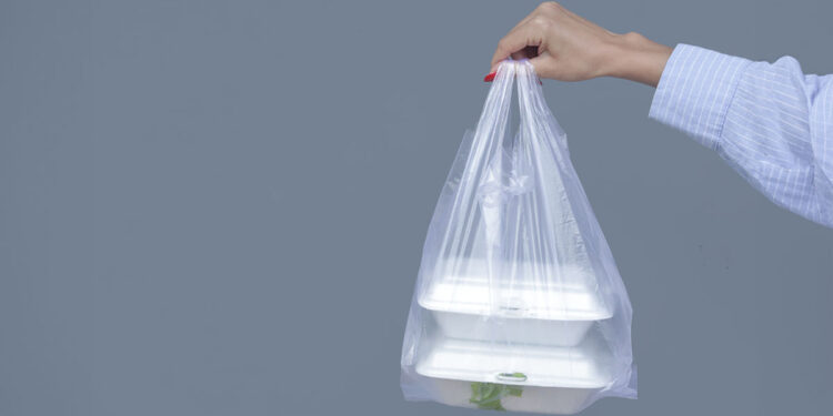 Doggy bag. ? Depositphotos
