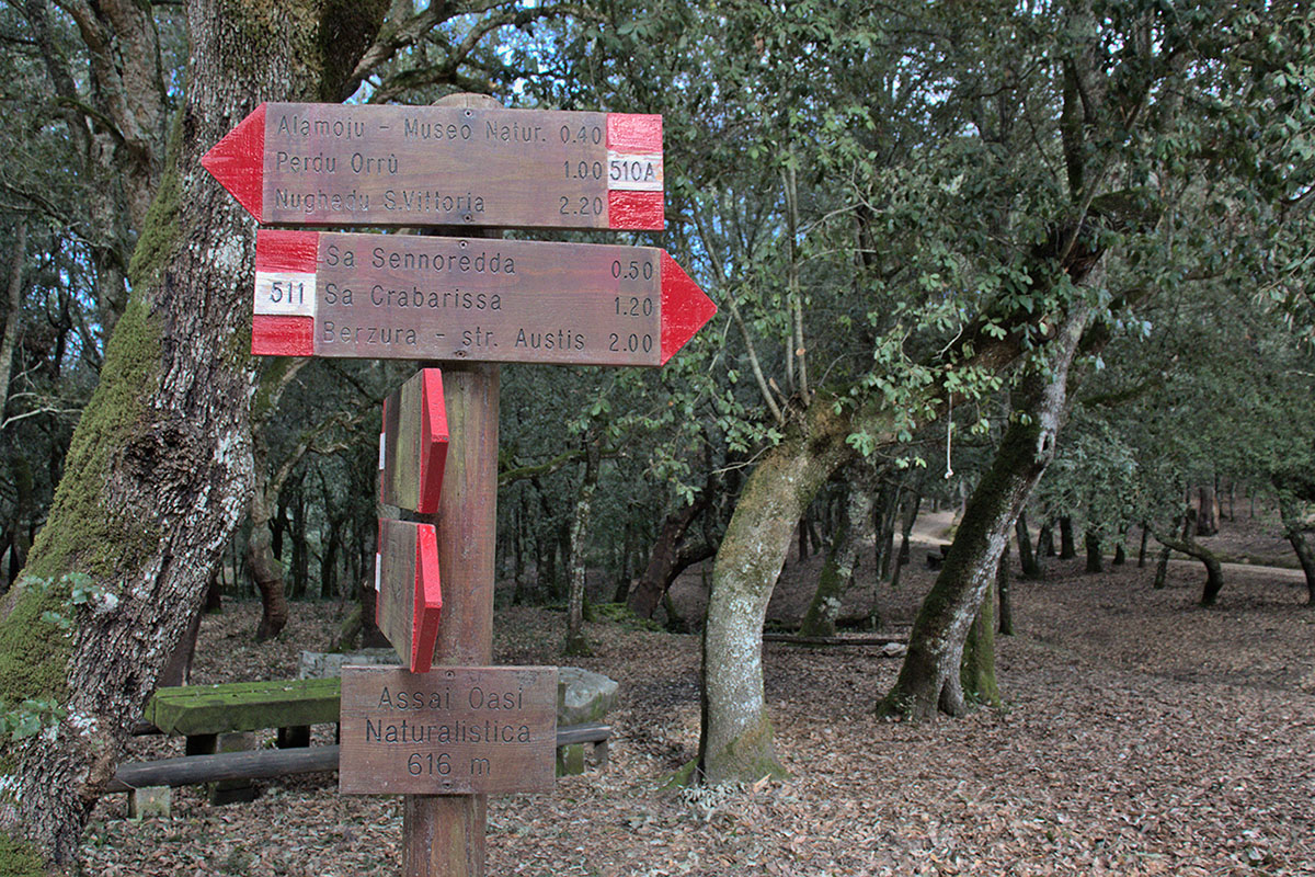 Oasi naturalistica di Assai, Nughedu S. Vittoria (OR). ? Claudio Kalb