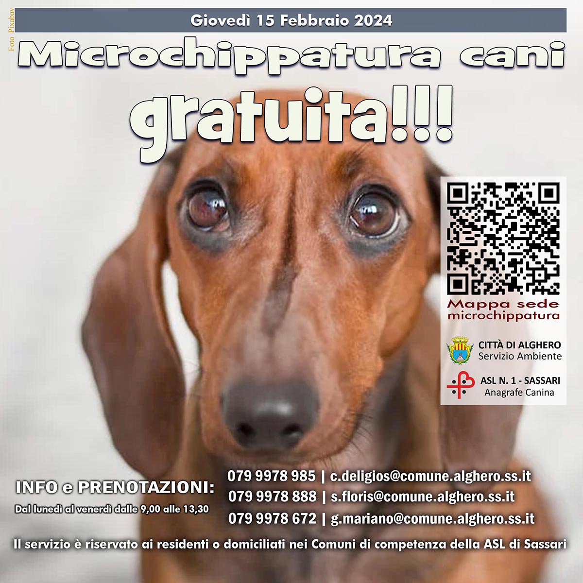 Microchippatura Alghero