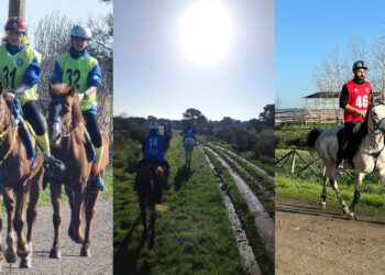 Prima tappa della Coppa Sardegna Endurance
