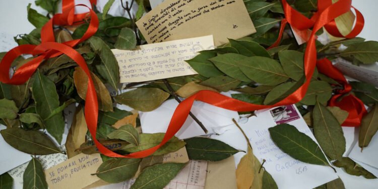 L'Università di Cagliari ricorda Giulia Cecchettin con l'installazione “A call for leaves”