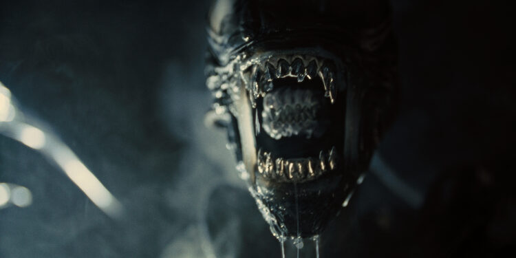 Xenomorph in “Alien Romulus”. ? Photo courtesy of 20th Century Studios. © 2024 20th Century Studios. All Rights Reserved