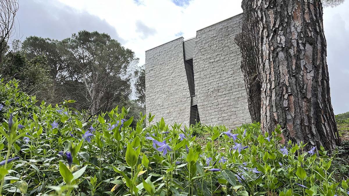 CEDAP - Museo Organica