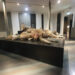 Museo Sanna, reperti in ambito marino