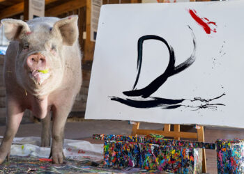 Pigcasso. ? Instagram | @pigcassohoghero