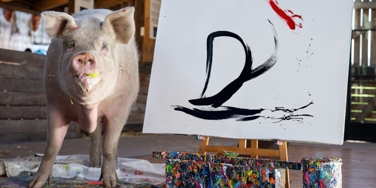 Pigcasso. ? Instagram | @pigcassohoghero