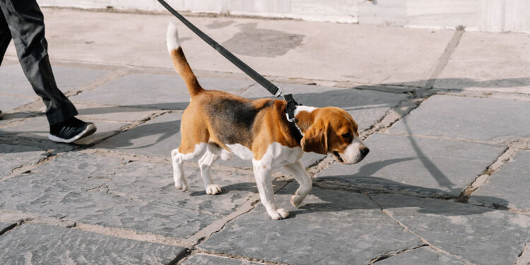 ? Depositphotos