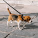 ? Depositphotos