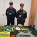 Sequestro prodotti vegetali all'aeroporto di Alghero