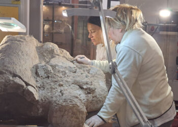 Laboratorio di restauro del Museo Civico “Giovanni Marongiu” di Cabras