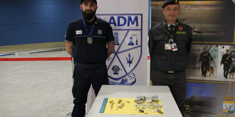 Conchiglie e stalagmiti sequestrate all'Aeroporto di Cagliari-Elmas
