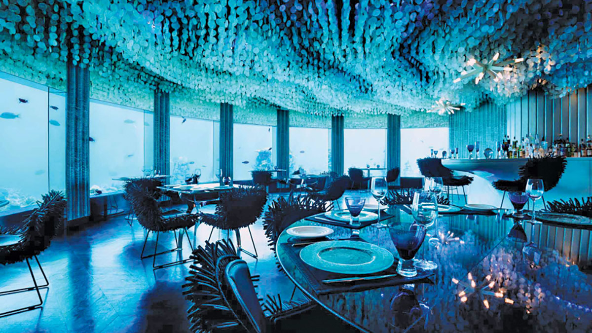 Maldive, Niyama: Subsix