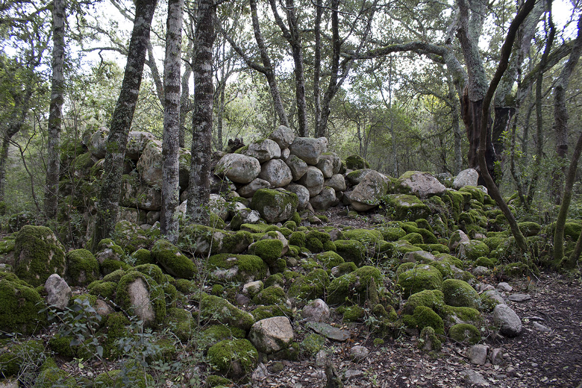 Nuraghe Is Fanebas, Assemini. ? S&H Magazine