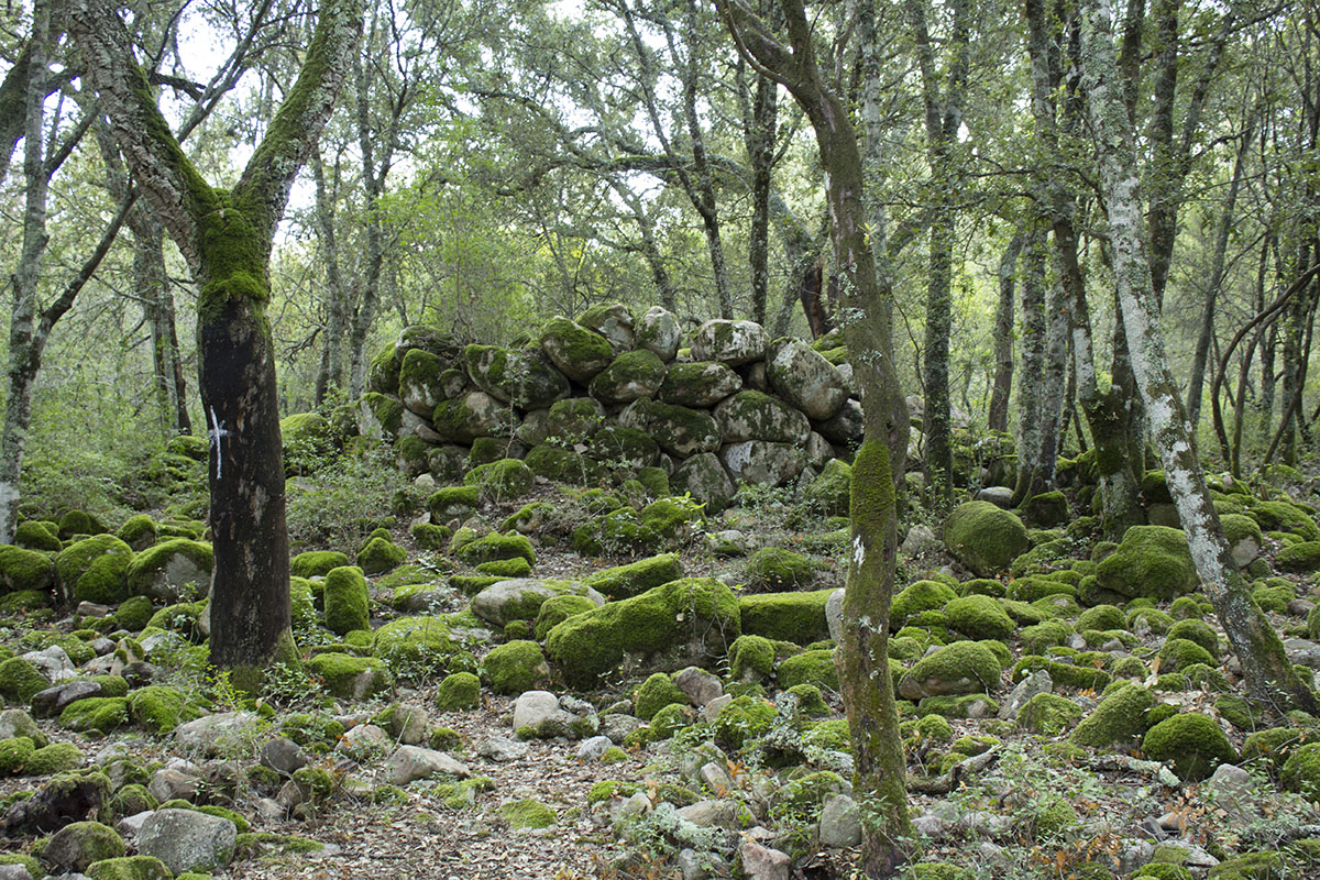 Nuraghe Is Fanebas, Assemini. ? S&H Magazine