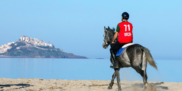 Trofeo Asvi-Coppa Sardegna di Endurance, terza tappa a Valledoria