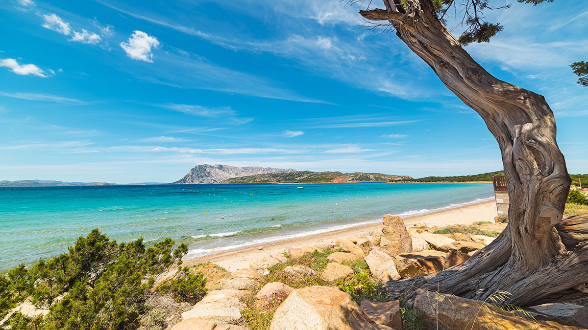 Spiaggia di Capo Coda Cavallo (San Teodoro). ? AdobeStock | Gabriele Maltinti