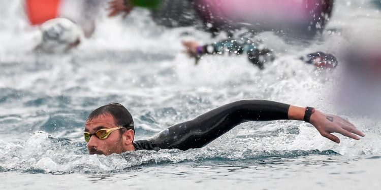 Domenico Acerenza. ? Andrea Masini DBM