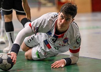 Enrico Aldini. ? Luigi Canu