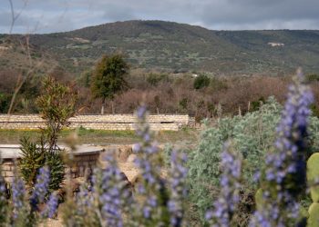 Giardino Botanico del Monte Arci a Masullas
