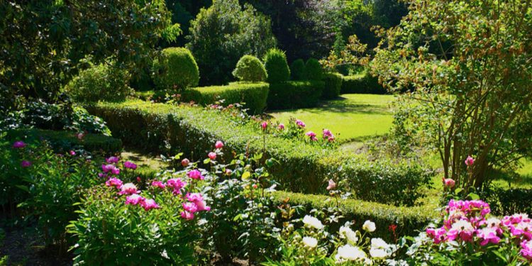 Il Giardino Aymerich di Laconi