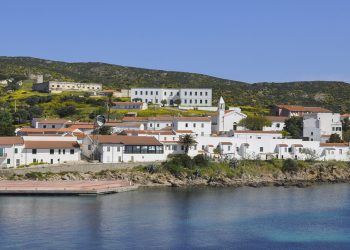 Isola dell'Asinara
