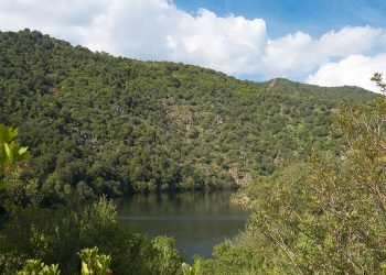 Parco Naturale Gutturu Mannu. ? Enrico Spanu. License: CC BY-NC-SA