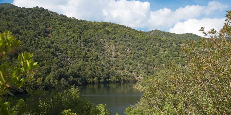 Parco Naturale Gutturu Mannu. ? Enrico Spanu. License: CC BY-NC-SA