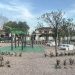 Un nuovo tassello verde nel quartiere Europeo di Cagliari