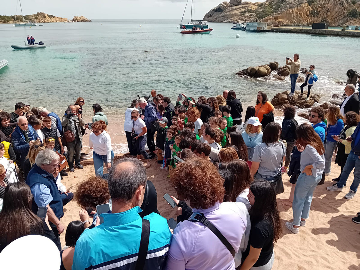Salvataggio Caretta caretta a La Maddalena. ? @ParcoLaMaddalena