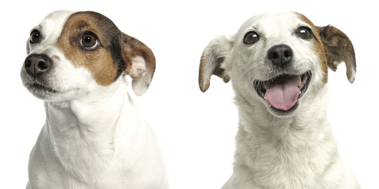 Campagna "Scegli con il cuore"