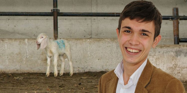 "Cobalto" di Matteo Porru. ? alecani