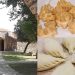 Festival del Gusto Ussassese