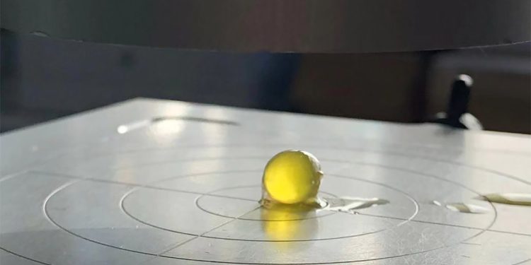 La sfera edibile brevettata dal Dipartimento di Agraria dell'Uniss