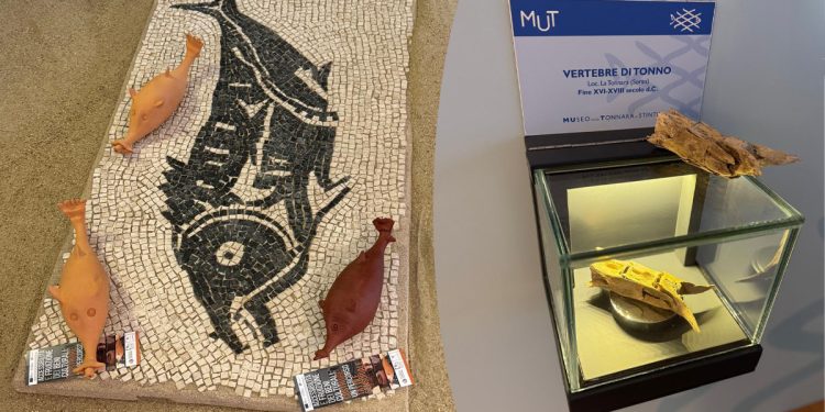 Le riproduzioni degli askos a forma di tonno e delle vertebre di tonno donate al MUT di Stintino