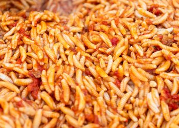 Malloreddus. ? Depositphotos