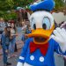 Paperino a Disneyland. ? Depositphotos