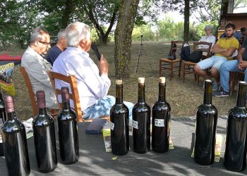 Vino e abbinamenti a tavola a “Chenamos in carrela”