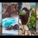 Mostra fotografica "Contos - Tales from Sardinia"