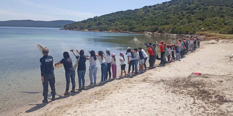 Gli studenti di Chiaramonti restituiscono sabbia e conchiglie alla spiaggia di Tramariglio