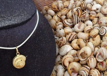 Ciogghitta d'Oro 2024