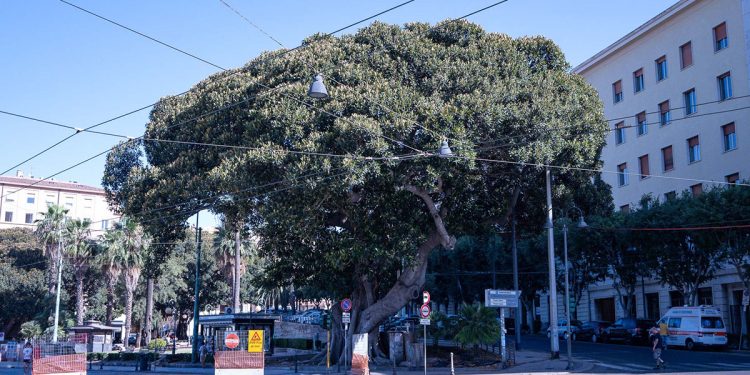Piazza Ingrao a Cagliari