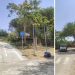 Pista ciclabile di Maria Pia ad Alghero