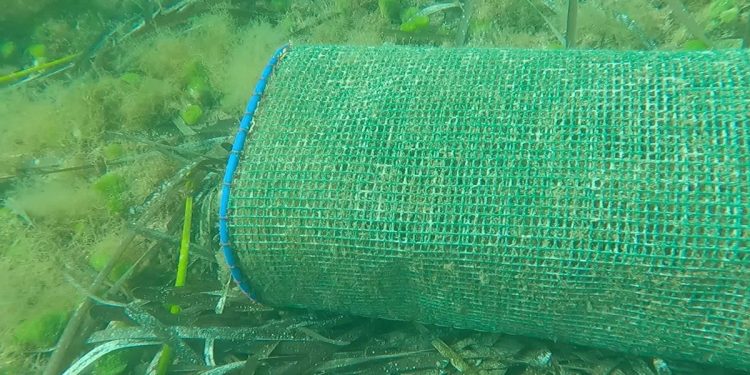 Rete da pesca abbandonata in un fondale