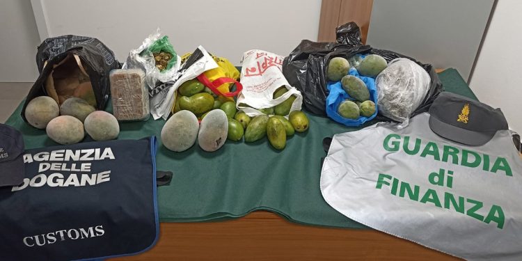 Sequestro vegetali e carne all aeroporto di Alghero